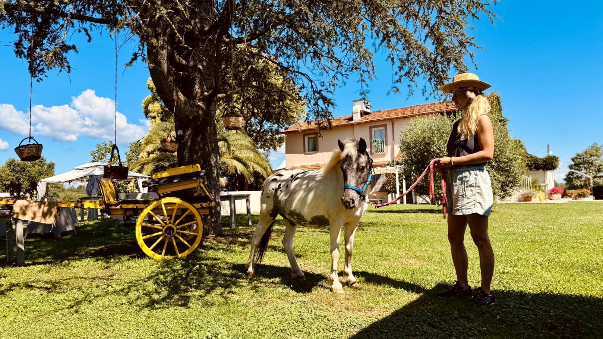 Bed & Breakfast Colle Salomonio *